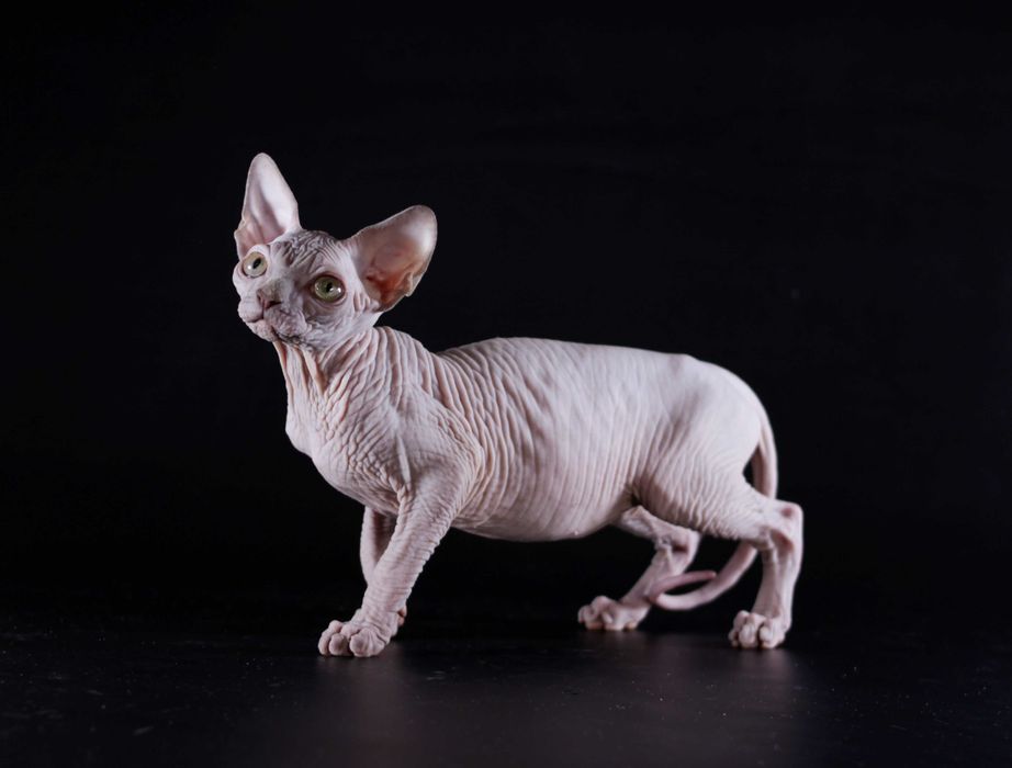 Самая нежная девочка на свете.