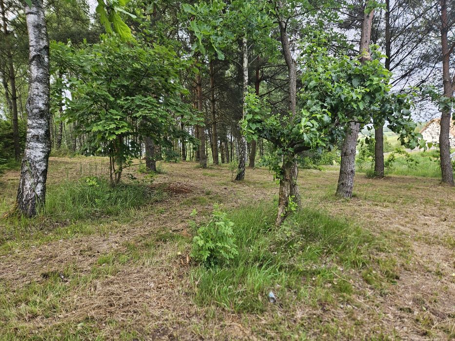 działka nad jeziorem