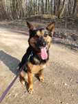 Kochana, urocza Frida marzy o adopcji!
