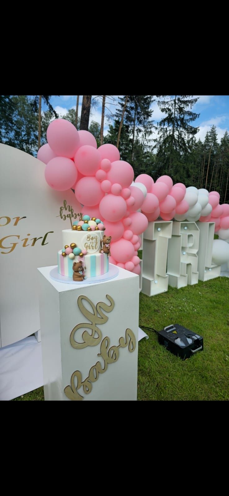Show fumaca cha de revelacao gender reveal baby party