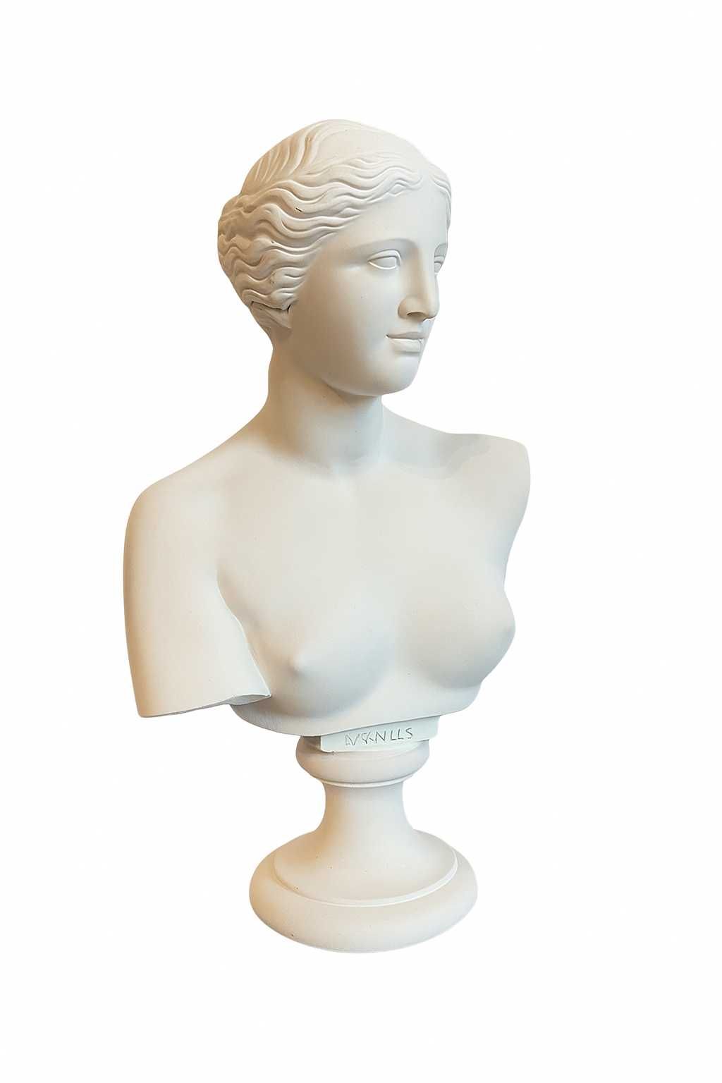 Popiersie VENUSS