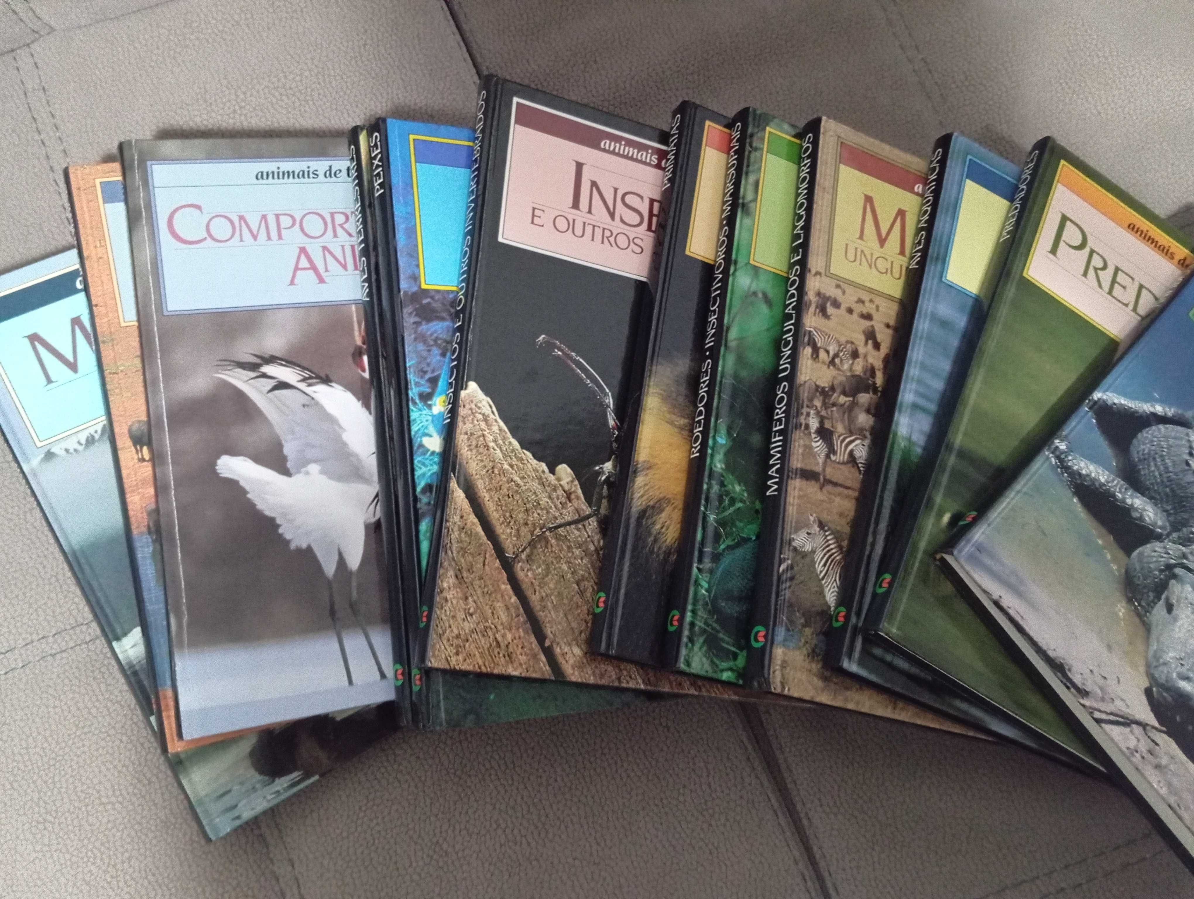 Enciclopédia de 12 livros sobre animais de todo o mundo