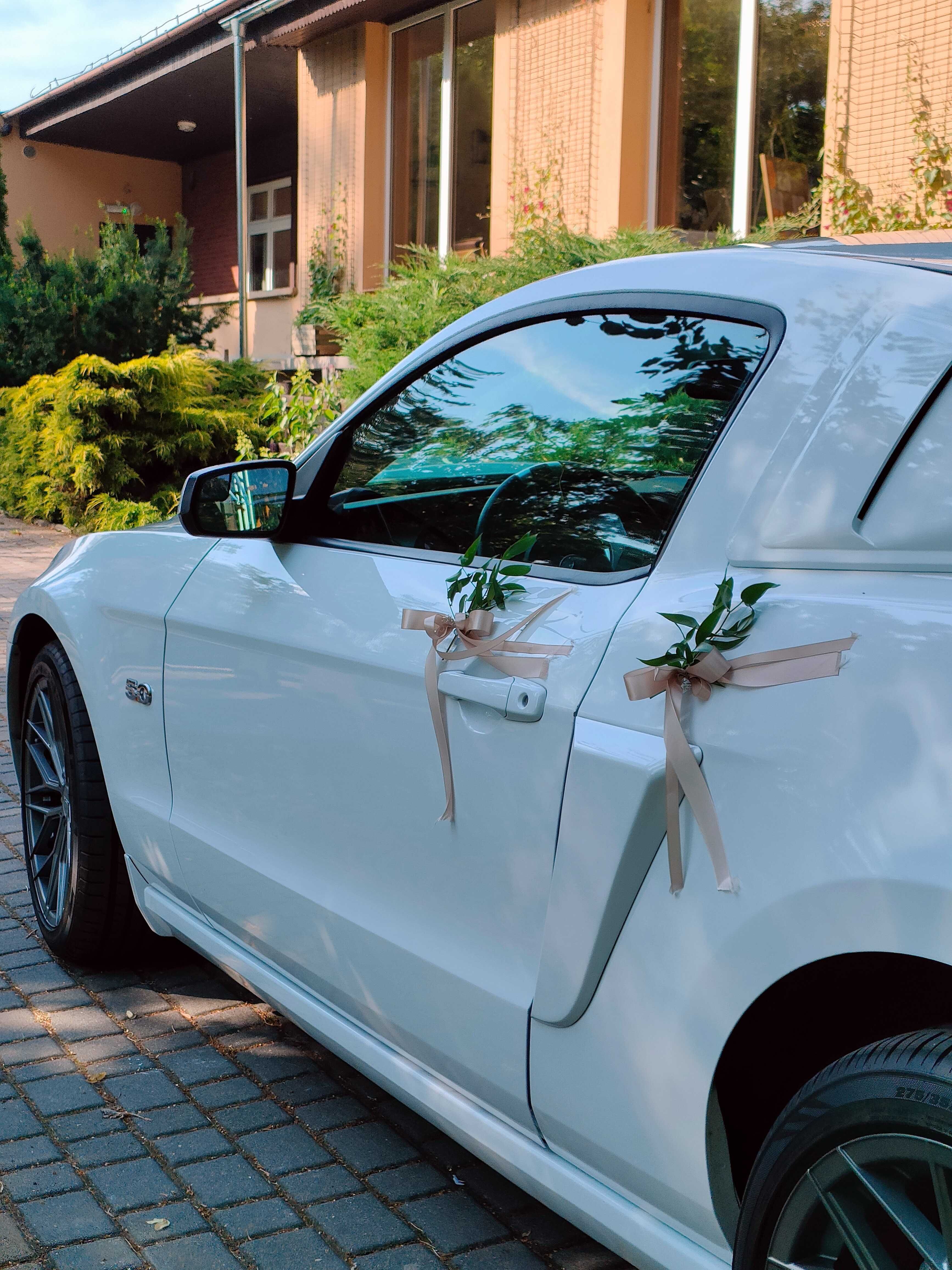Mustang GT 5.0 do ślubu, biały | Terminy 2025