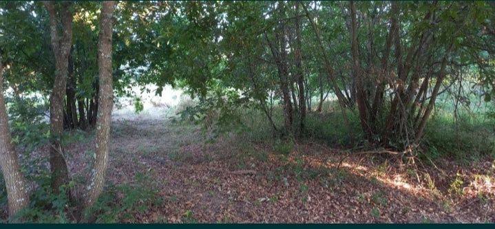 Vendo terreno Rústico