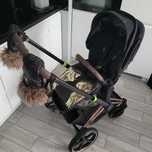 Wózek cybex 4.0 spacerówka