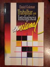 Daniel Goleman - Trabalhar com inteligência emocional