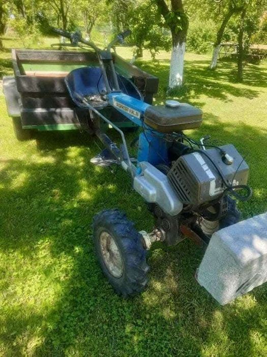 Dzik traktorek forszmit