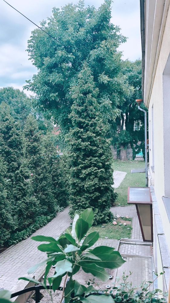 Wynajmie DoM „oficyna”  Kalisz Centrum miasta, zapraszam na ogladziny