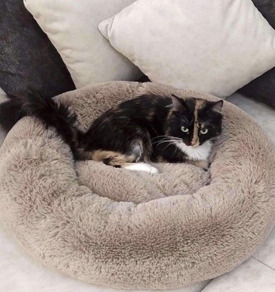 Кругла лежанка пуф лежак домик для котика собачки кошки