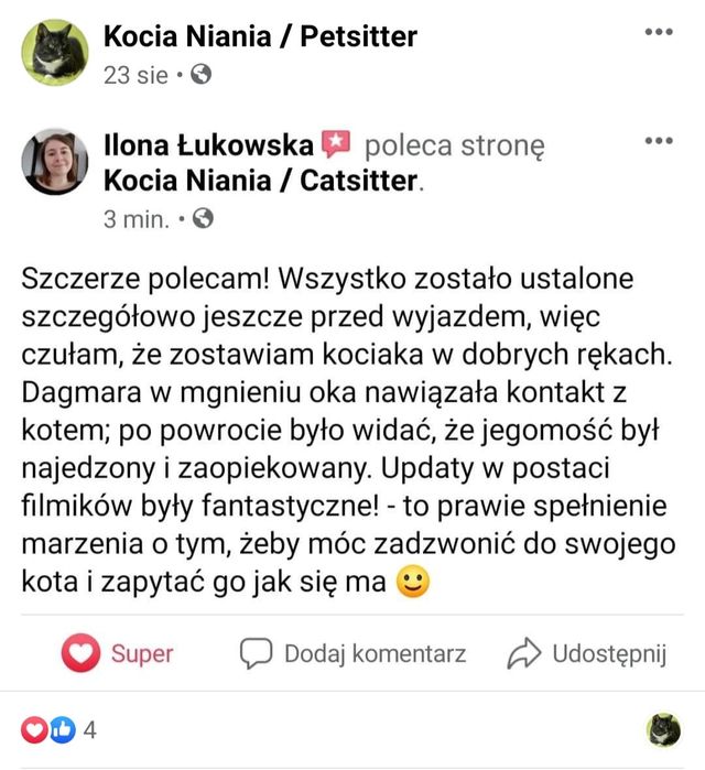 Behawiorysta/Petsitter/Opieka nad kotem w jego domu