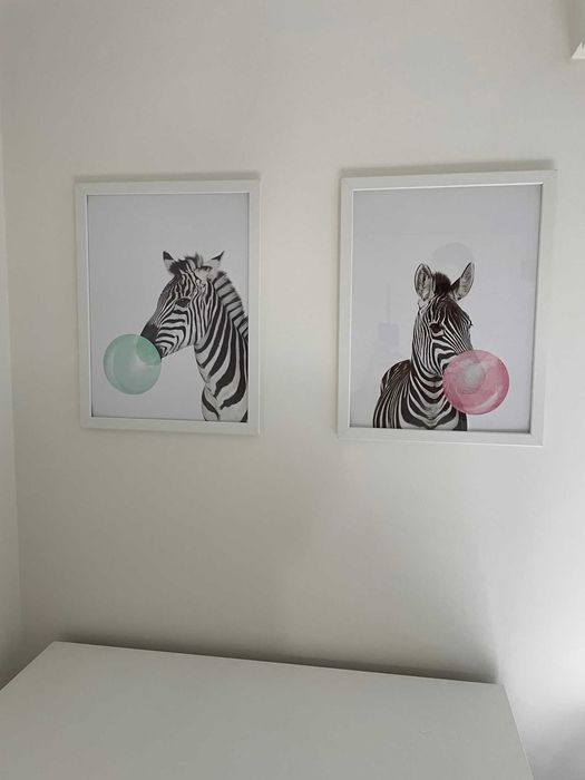Decoração - Quadros Zebra Bubble Gum