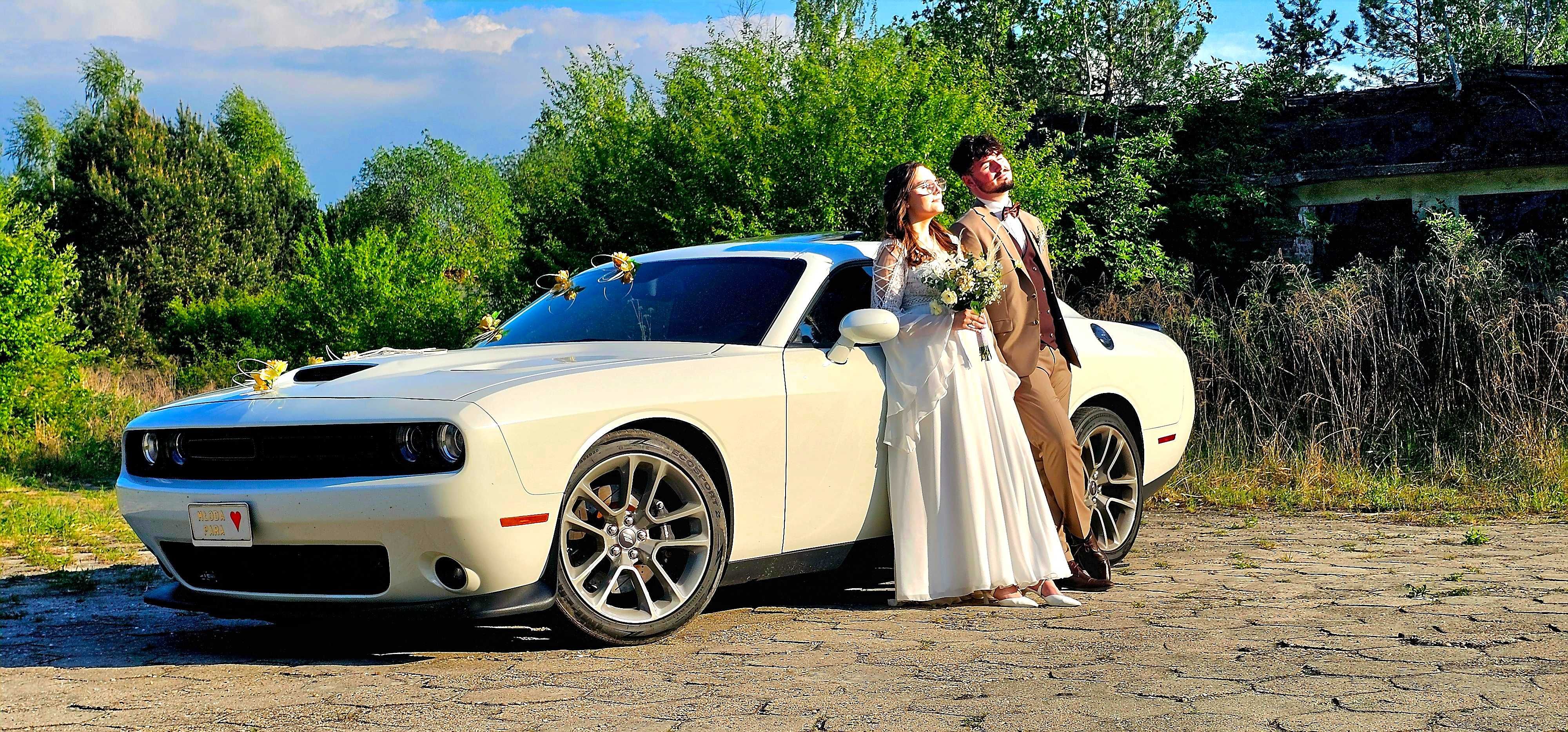 Wynajem Samochodów do ślubu / na wesele - Retro - Cadillac  - Dodge