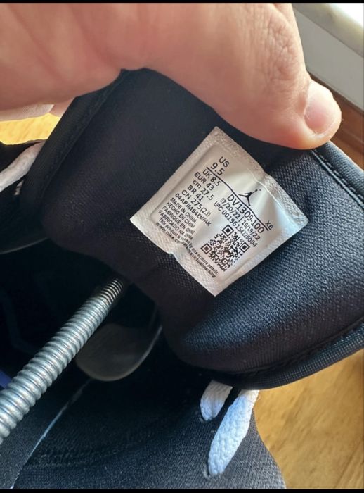 Air Jordan SE Concord