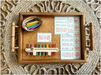 Crocodilo Colorido - Montessori