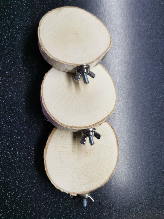 Nowe 3 sztuki plastry drewna brzoza dla papug chomika bądź myszki