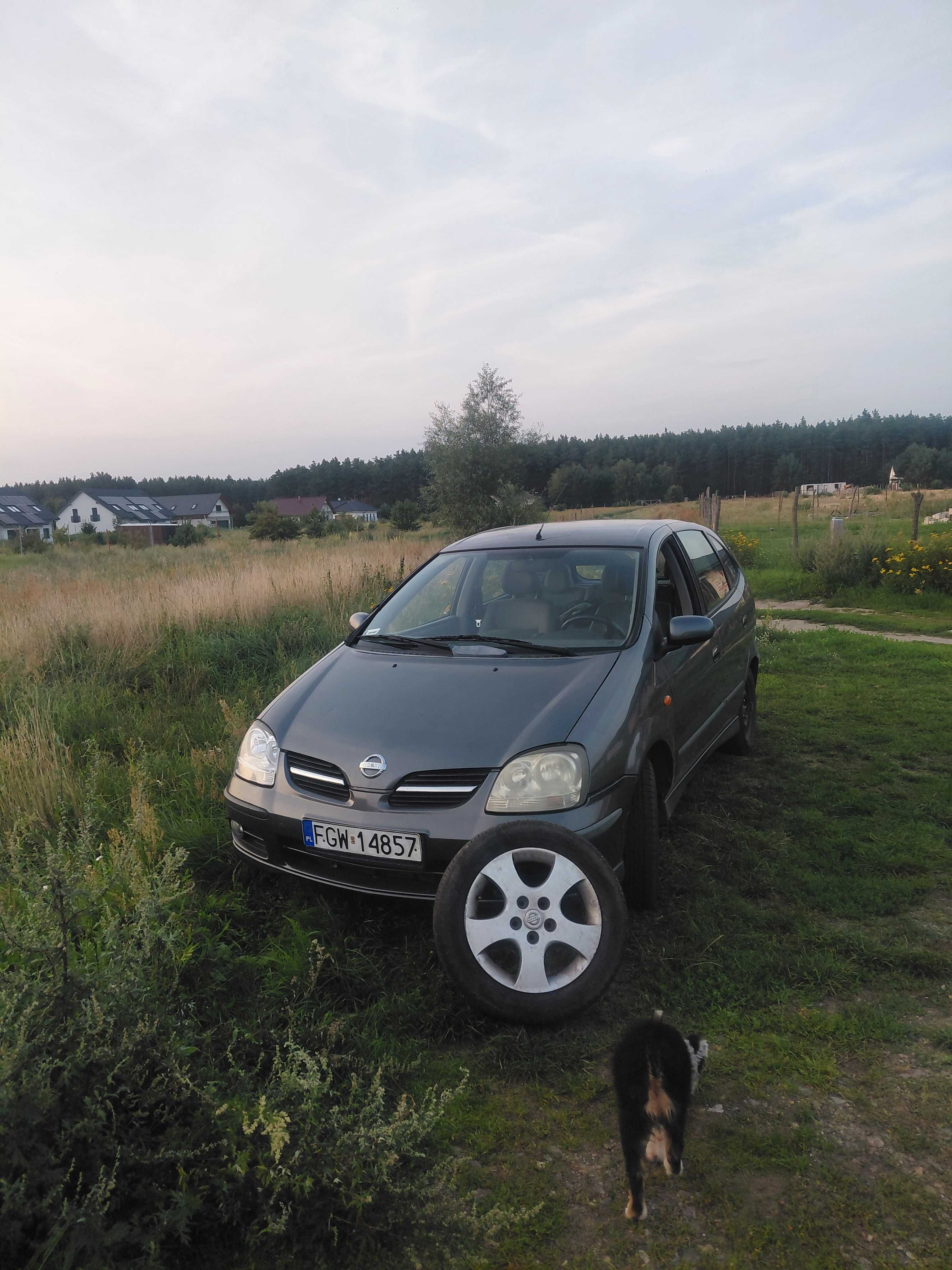 Almera Tino 2.2 diesel 136 km
