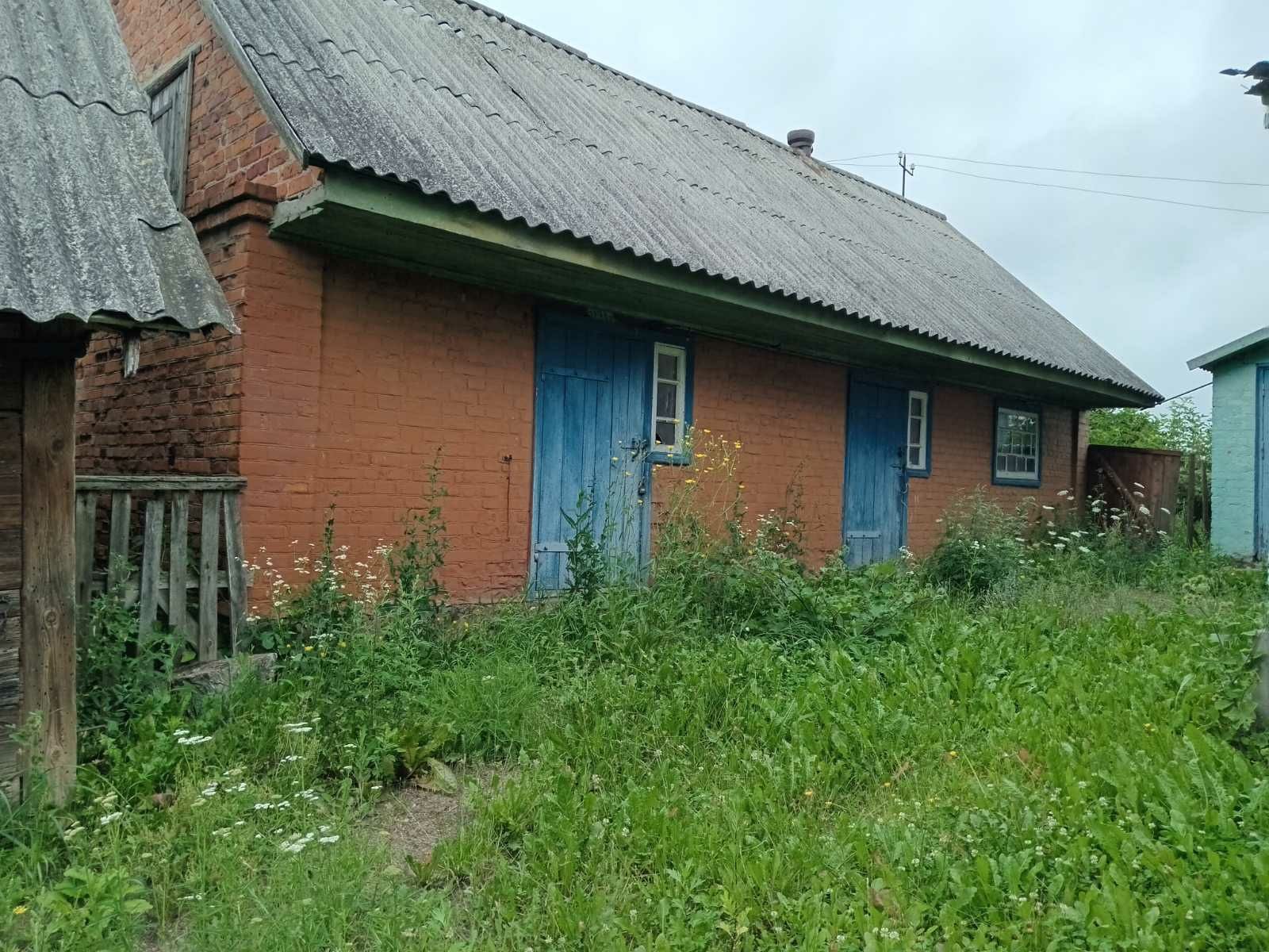 Продам будинок в селі Небіж Житомирської області