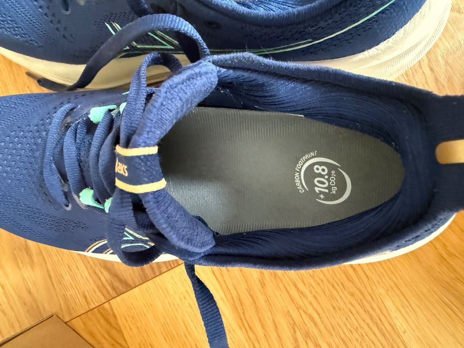 Asics Nimbus 26 nowe