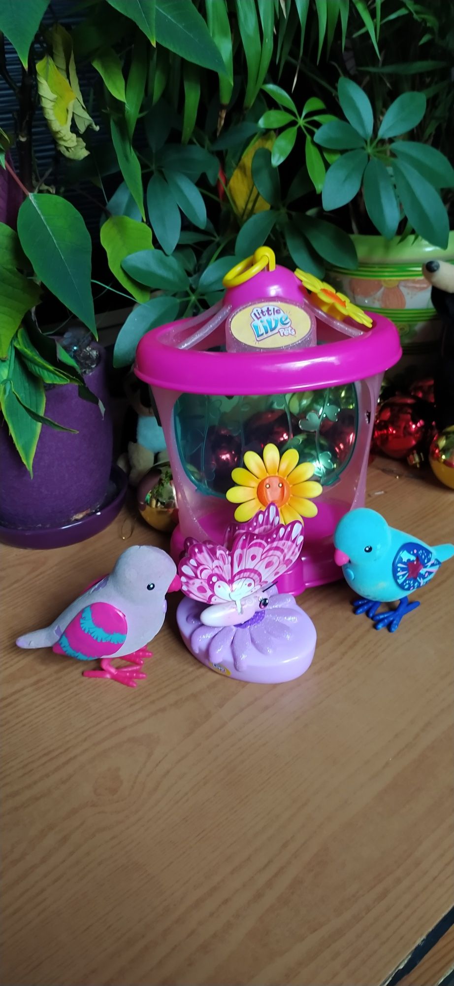 Бабочка Little Live Pets: интерактивная игрушка из серии Литл Лайв Пет