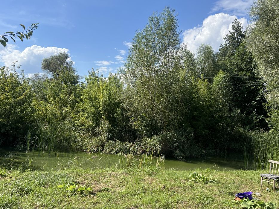 Будинок з власним озером у Великій Солтанівці