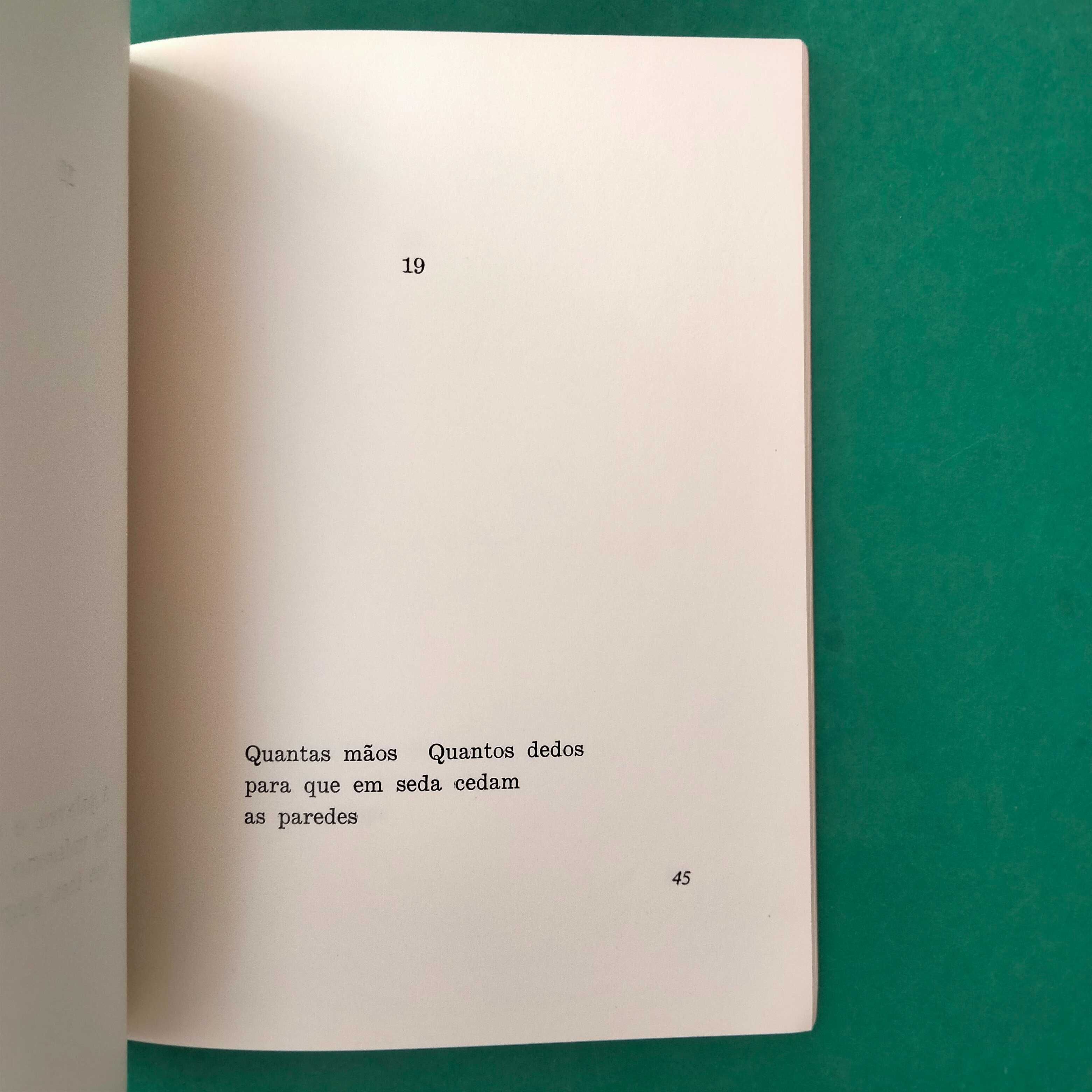 Entre a Sombra e o Corpo - David Mourão-Ferreira (1ª edição)