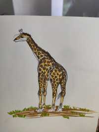 Иллюстрация маркерами - жираф