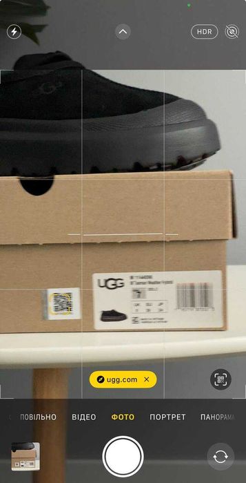 Чоловічі натуральні уггі UGG Tasman Hybrid Chestnut Blue (36-45 р.)