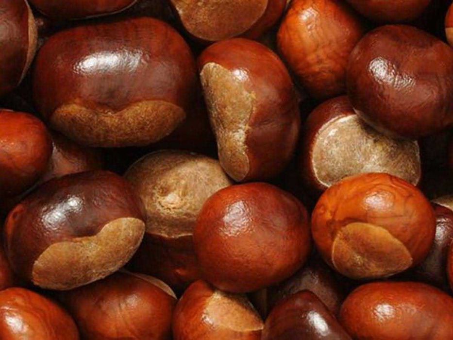 Castanhas de cultivo próprio 4€ kg