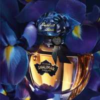 Guerlain Shalimar Millésime Iris woda perfumowana 50ml limitowana EdP