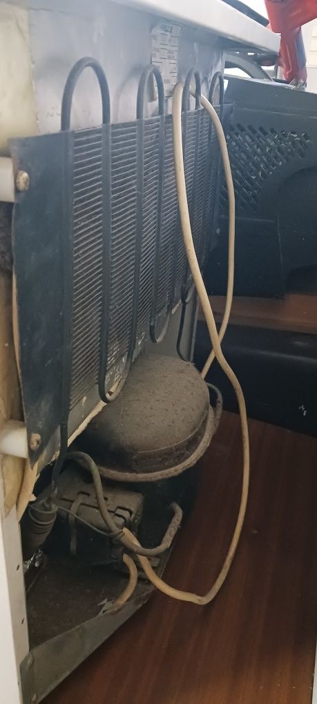 Motor frigorífico