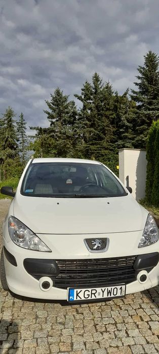 peugeot 307 1.6 hdi
