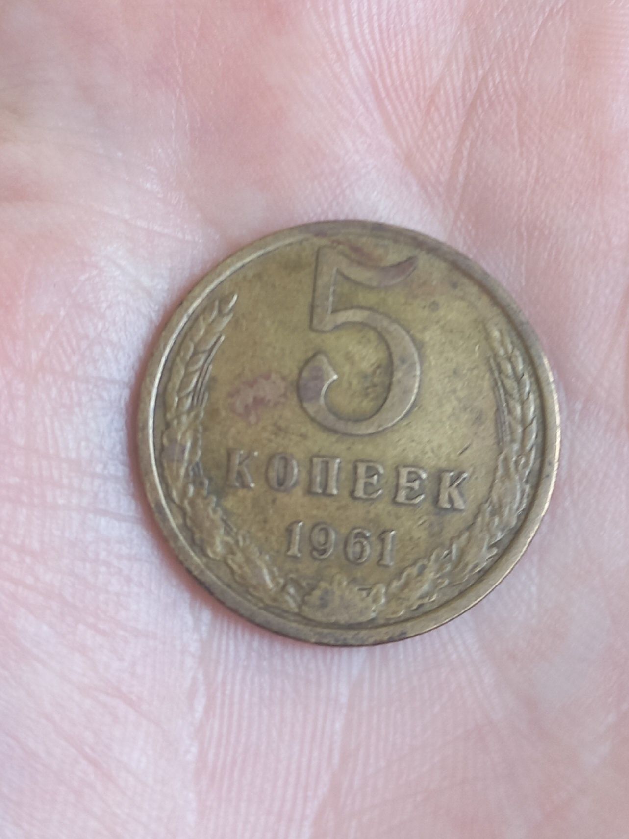 Монета 5 копійок (копеек) 1961 года