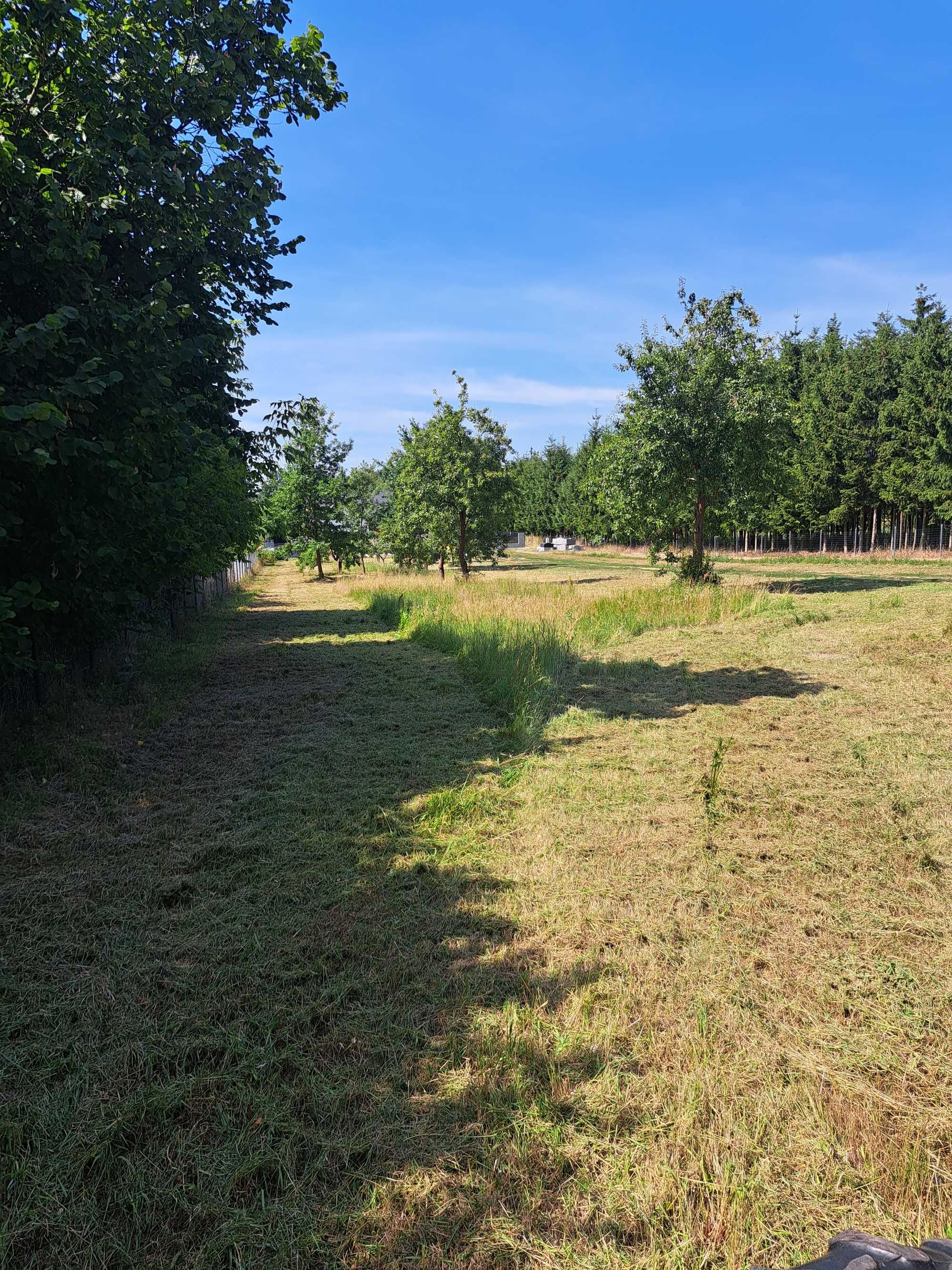 Koszenie kosiarką bijakową łąk, nieużytków i innych terenów.