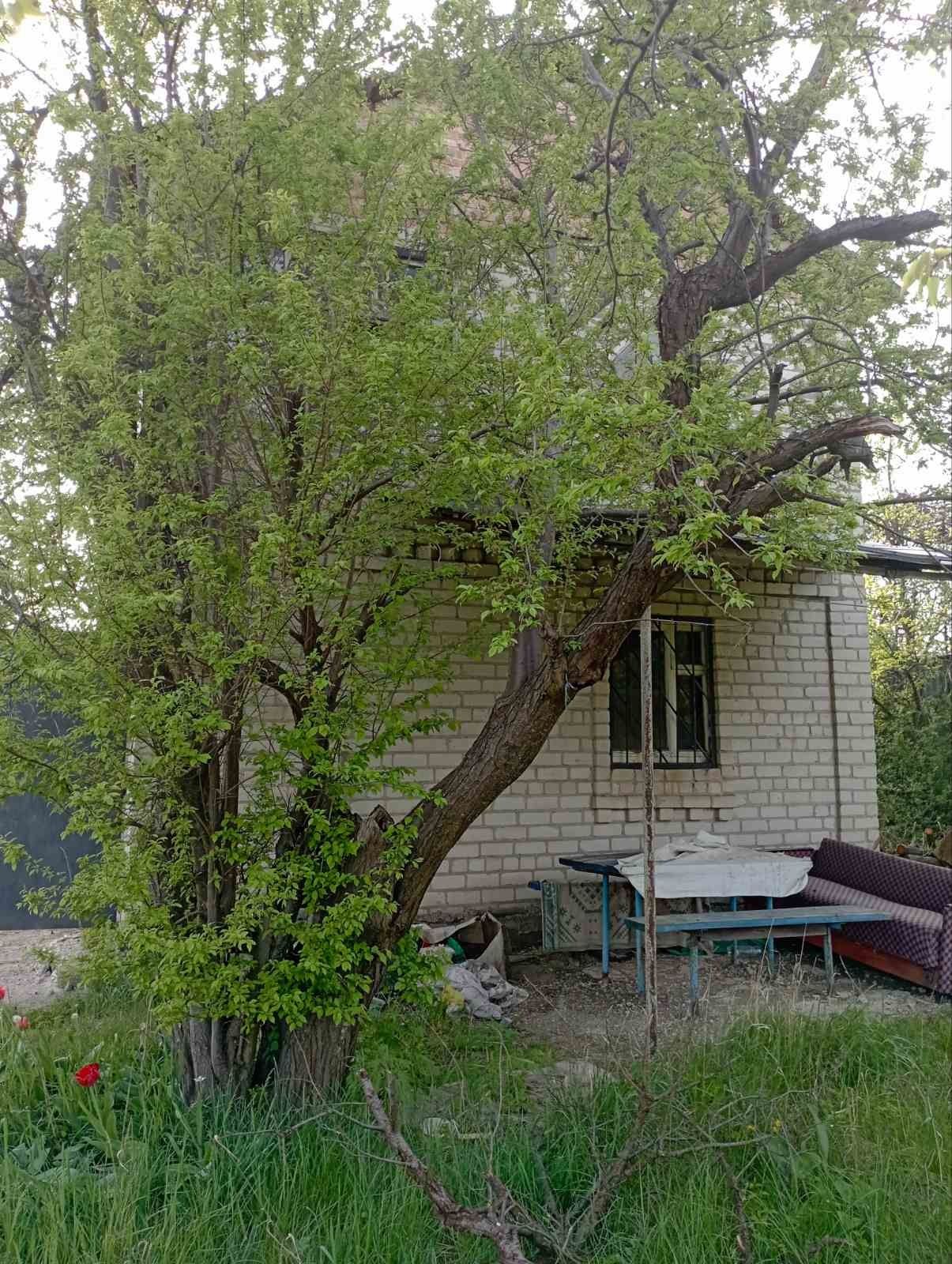 Продам дачный участок с.Софиевка