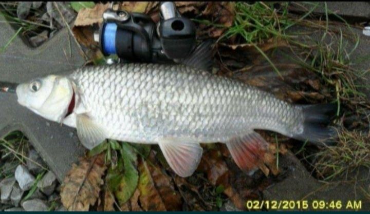 Mikro, micro jigi   zestaw 10 szt