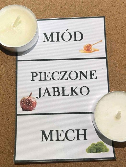 Podgrzewacze sojowe sierpniowe zbiory