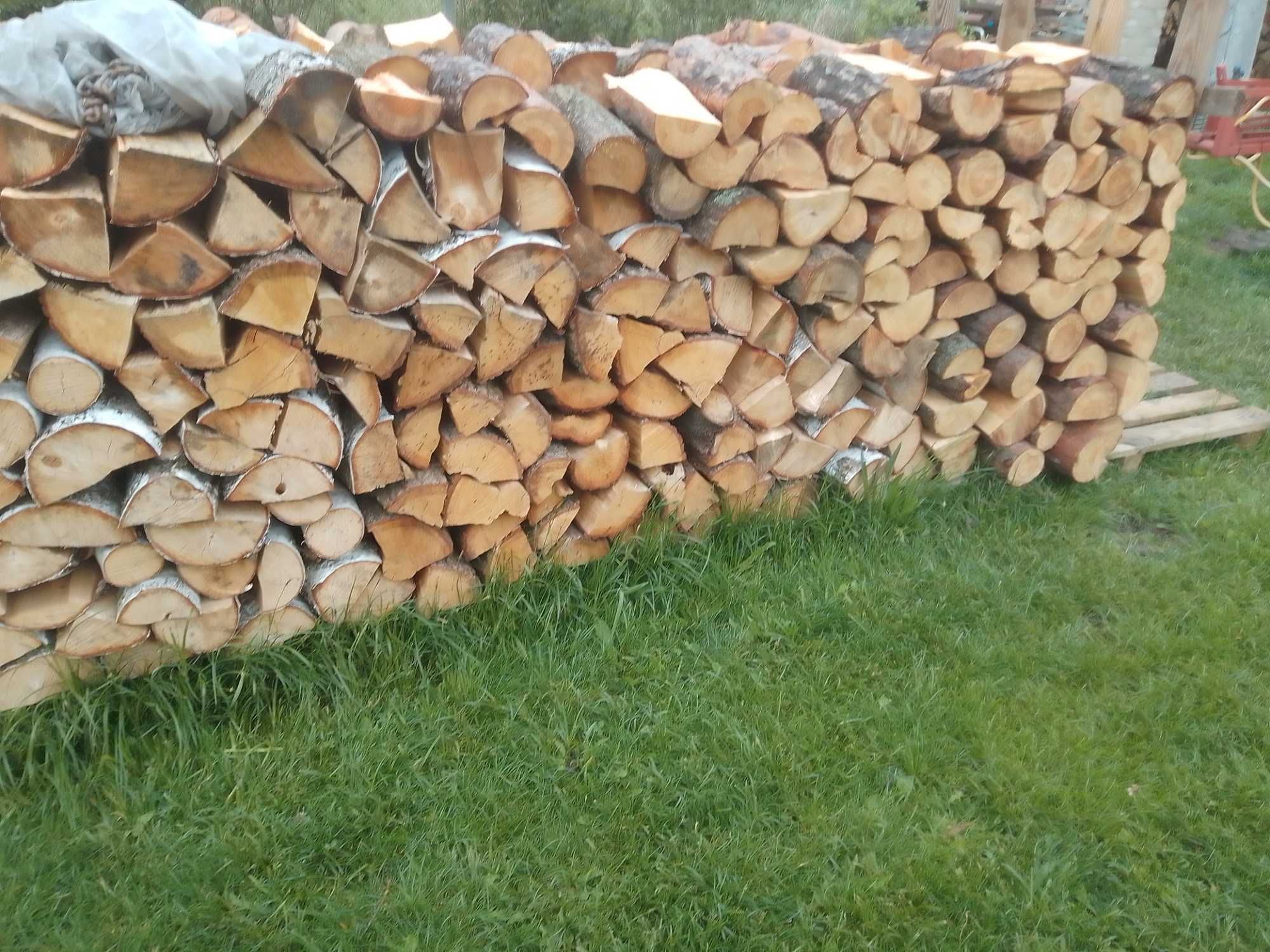 Drewno opał, podsuszone.