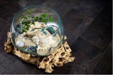 Вази Балі з кореня дерева тік