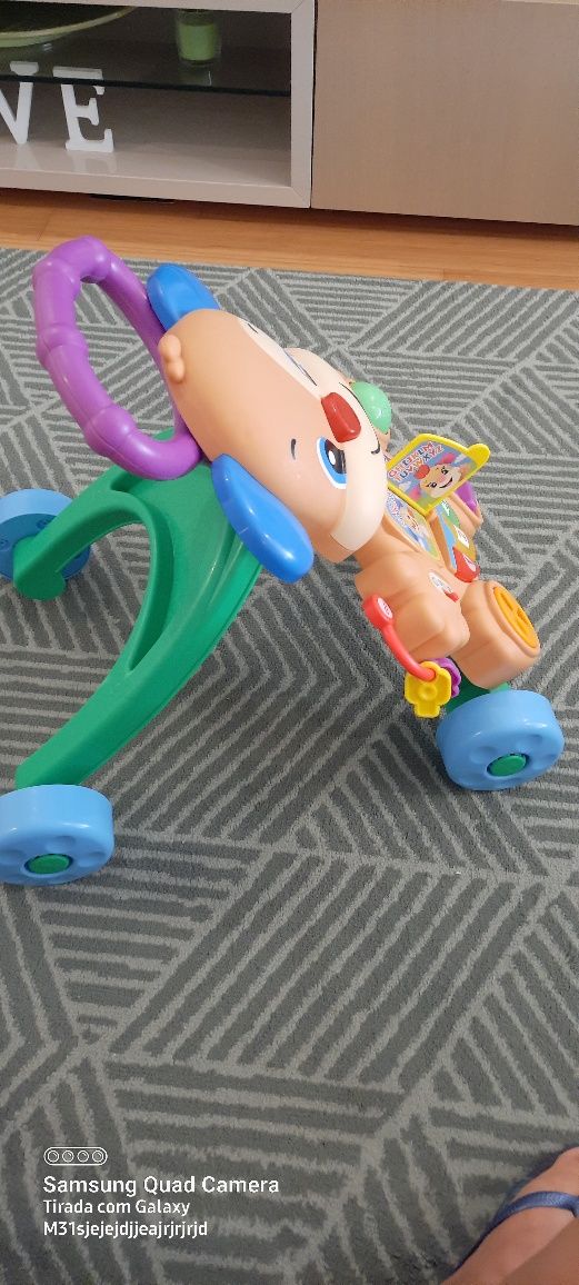 Andarilho Fisher price