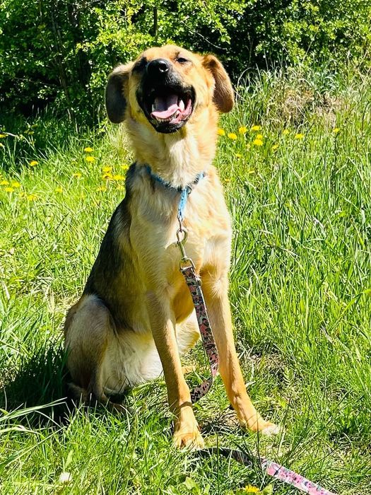 Kochana Cola rozgląda się za domem