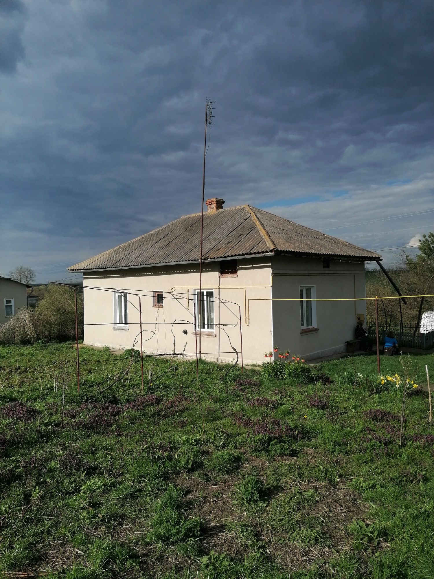 Житловий будинок в селі Просівці Підволочиського району, біля ставу.