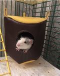 Подвесной домик для крысы 14х14х14см, гамак для крысы, гамак для шинши