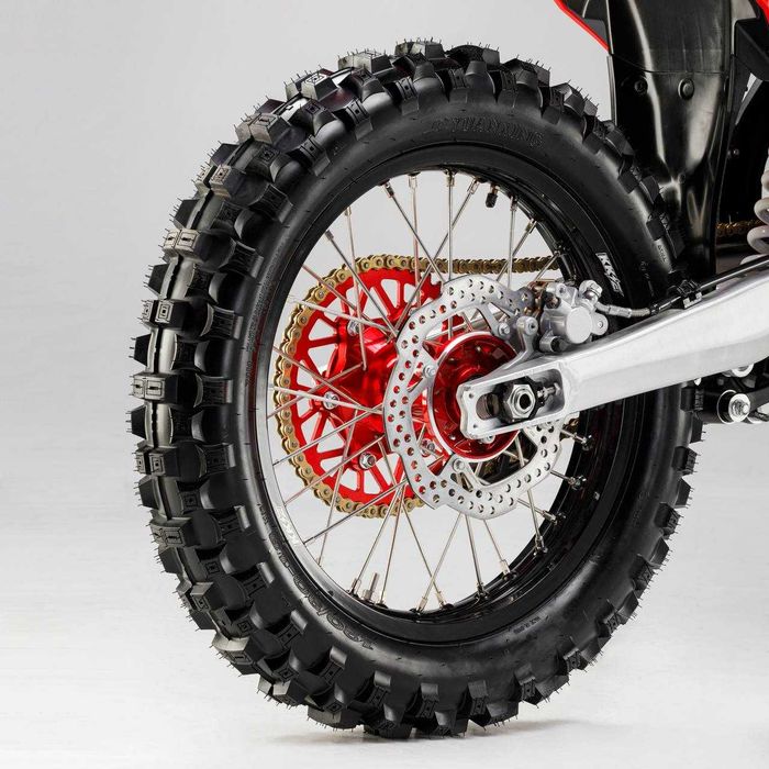 Arctic Leopard EXE 800 • дорослый Электромотоцикл