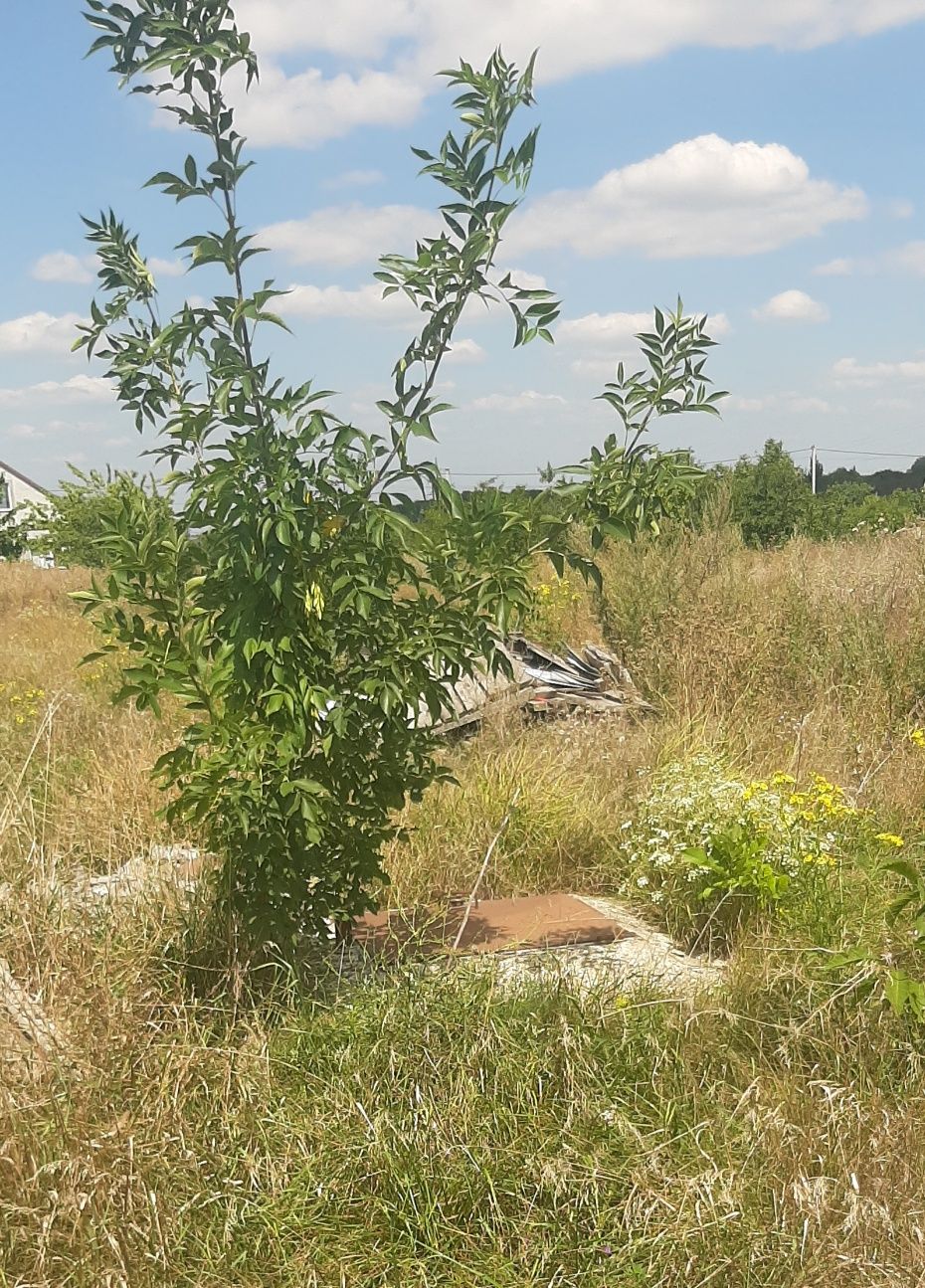 Рівний Участок ділянка ближнє селище Нове (посёлок Новый), АРТсалон