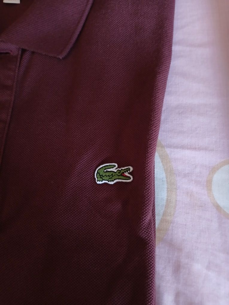Polo de homem Lacoste