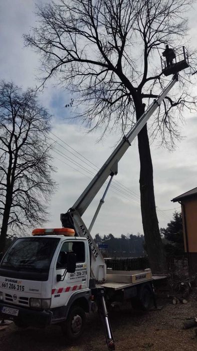 Wycinka drzew, prace alpinistyczne, zrębkowanie gałęzi