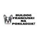 Naklejka na samochód z psem BULDOG FRANCUSKI NA POKŁADZIE