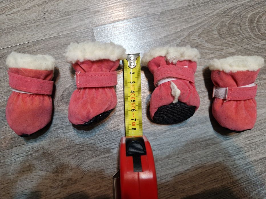 Buty papcie dla małego psa kota