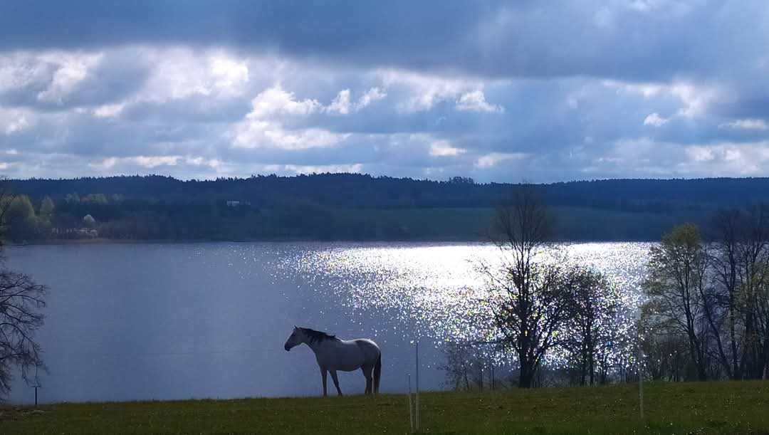 Wakacje, urlop na Mazurach, jezioro, konie, wypoczynek