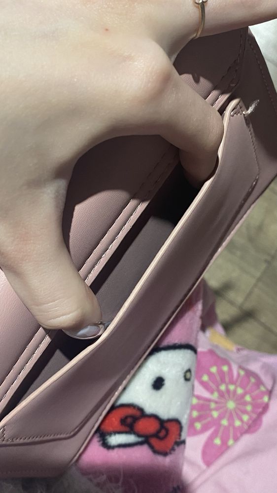 Розовая сумочка Charles & Keith с двумя отделениями